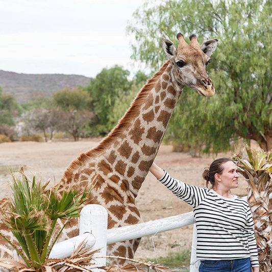 Giraffe Experience Oudtshoorn